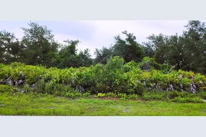12242 Bacchus Road, Port Charlotte, FL 33981 - Photo 3