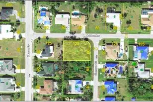 22517 Ashton Ave, Port Charlotte, FL 33980 - Photo 1
