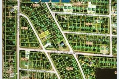 13214 Sulky Drive, Punta Gorda, FL 33955 - Photo 5