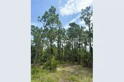 13214 Sulky Drive, Punta Gorda, FL 33955 - Photo 1