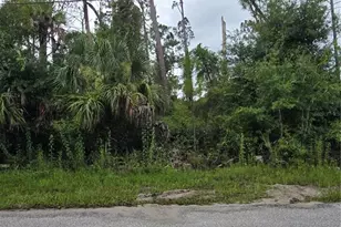 Lot 3 Longwell Ln, North Port, FL 34286 - Photo 1
