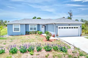 109 Fire Island Ave NE, Lake Placid, FL 33852 - Photo 1