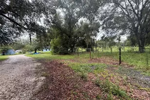 2480 NW Genes Little Acres Ave, Arcadia, FL 34266 - Photo 39