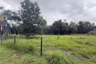 2480 NW Genes Little Acres Ave, Arcadia, FL 34266 - Photo 37
