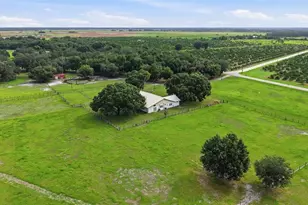 6902 Johnston Rd, Zolfo Springs, FL 33890 - Photo 53