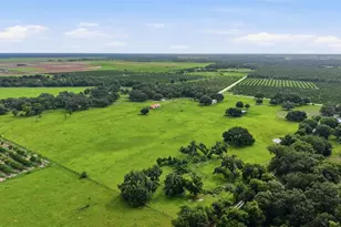 6902 Johnston Rd, Zolfo Springs, FL 33890 - Photo 59