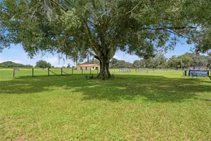 6902 Johnston Rd, Zolfo Springs, FL 33890 - Photo 47