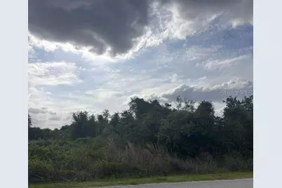8395 SW Aviary Road, Arcadia, FL 34269 - Photo 3