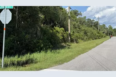 12502 Mohican Avenue, Port Charlotte, FL 33953 - Photo 3
