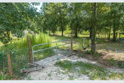 12329 176th Street, Mc Alpin, FL 32062 - Photo 35