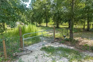 12329 176th St, Mc Alpin, FL 32062 - Photo 35