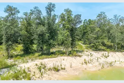 12329 176th Street, Mc Alpin, FL 32062 - Photo 29