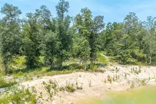 12329 176th St, Mc Alpin, FL 32062 - Photo 29