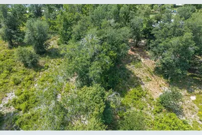 12329 176th Street, Mc Alpin, FL 32062 - Photo 31