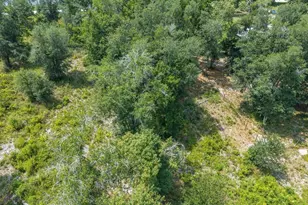 12329 176th St, Mc Alpin, FL 32062 - Photo 31