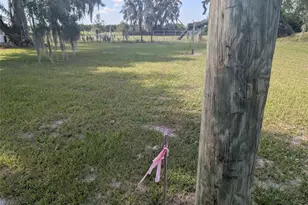 3193 NE Davis St, Arcadia, FL 34266 - Photo 5