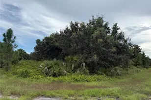 Lot 1 Gaskins Circle, North Port, FL 34288 - Photo 1