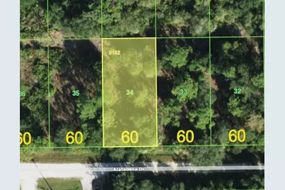 28196 Alatadena Drive, Punta Gorda, FL 33955 - Photo 3