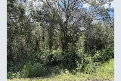 6423 NE Thomas Drive, Arcadia, FL 34266 - Photo 3