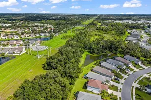 3811 Woodmont Dr, Parrish, FL 34219 - Photo 61