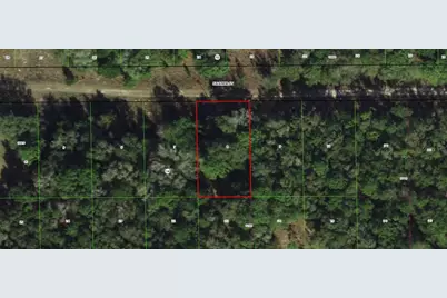 1913 Falkner Street, Inverness, FL 34453 - Photo 1