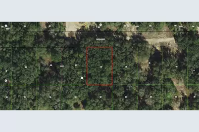 2911 Tyler Street, Inverness, FL 34453 - Photo 1