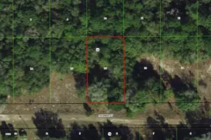2006 Falkner St, Inverness, FL 34453 - Photo 1