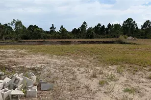 50078 Bermont Rd, Punta Gorda, FL 33982 - Photo 45