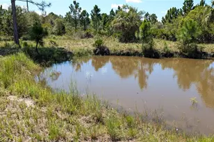 50078 Bermont Rd, Punta Gorda, FL 33982 - Photo 47
