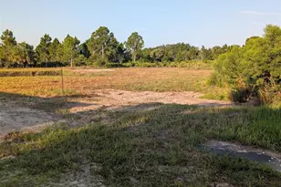 50078 Bermont Rd, Punta Gorda, FL 33982 - Photo 45
