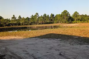 50078 Bermont Rd, Punta Gorda, FL 33982 - Photo 11