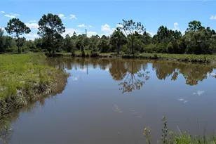 50078 Bermont Rd, Punta Gorda, FL 33982 - Photo 51