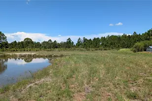 50078 Bermont Rd, Punta Gorda, FL 33982 - Photo 49