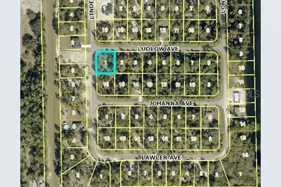 315 Ludlow Avenue, Lehigh Acres, FL 33972 - Photo 5