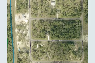 315 Ludlow Avenue, Lehigh Acres, FL 33972 - Photo 3