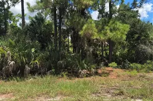 Nance St, North Port, FL 34288 - Photo 1