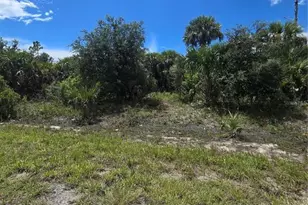 Plumleaf Terrace, North Port, FL 34288 - Photo 1
