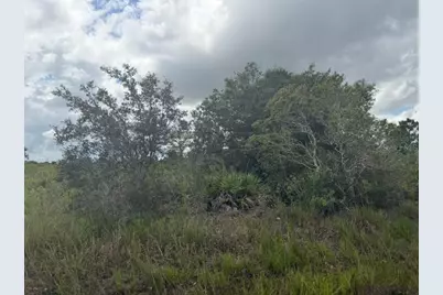 15364 NW 274th Street, Okeechobee, FL 34972 - Photo 3