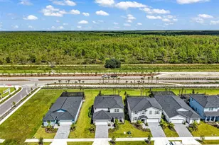 45012 Pipevine Cir, Punta Gorda, FL 33982 - Photo 75