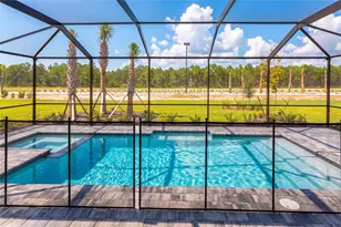 45084 Pipevine Cir, Punta Gorda, FL 33982 - Photo 31