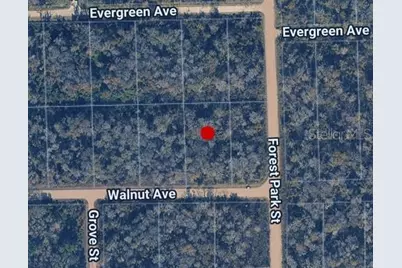 3998 Walnut Avenue, Bunnell, FL 32110 - Photo 1