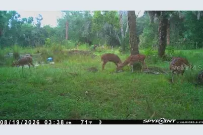 8538 SW Opossum Trl, Arcadia, FL 34266 - Photo 15