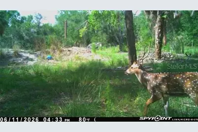 8538 SW Opossum Trl, Arcadia, FL 34266 - Photo 13