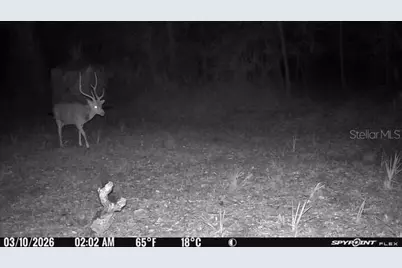 8538 SW Opossum Trl, Arcadia, FL 34266 - Photo 11