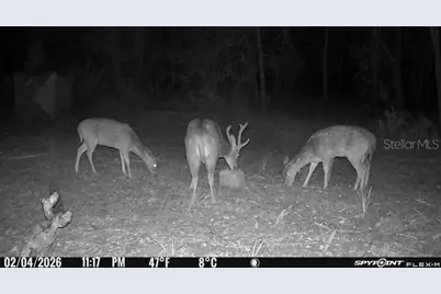 8538 SW Opossum Trl, Arcadia, FL 34266 - Photo 9