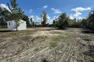 4950 SE Barley Ave, Arcadia, FL 34266 - Photo 3