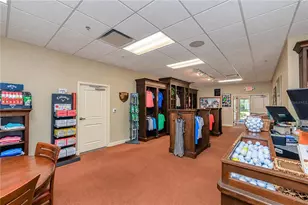24283 Buckingham Way, Punta Gorda, FL 33980 - Photo 47