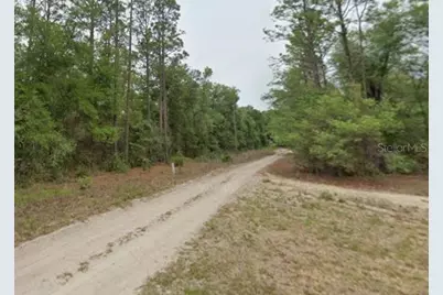 7715 & 7691 W Rainbow Street, Dunnellon, FL 34433 - Photo 1