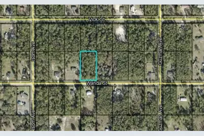 4340 Wanda Street, Hastings, FL 32145 - Photo 1