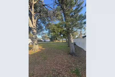 342 51st Avenue N, Saint Petersburg, FL 33703 - Photo 7